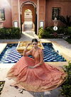 Avida Leo Royal Georgette Designer Wedding Dress Collections
